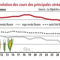 Evolution des cours des principales céréales