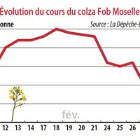 Evolution du cours du colza Fob Moselle