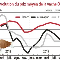Evolution du prix moyen de la vache O3