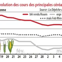 Evolution des cours des principales céréales