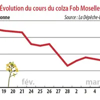 Evolution du cours du colza Fob Moselle