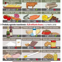 Infographie commerce extérieur
