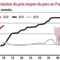 Evolution du prix moyen du porc en France
