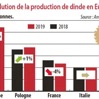 Evolution de la production de dinde en Europe