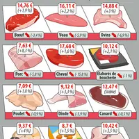 consommation de viande