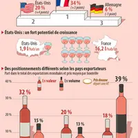 marché mondial du vin rosé