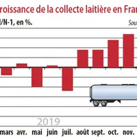Croissance de la collecte laitière en France