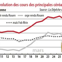 Evolution des cours des principales céréales