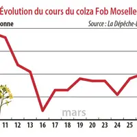 Evolution des cours du colza