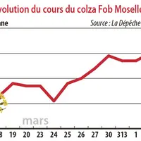 Evolution des cours du colza