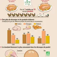 consommation de volailles