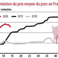 evolution du prix moyen du porc en France