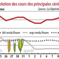 Evolution des cours des principales céréales