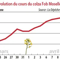 Evolution des cours du colza