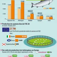 poissons bios en Europe