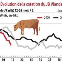 Evolution de la cotation du JB viande