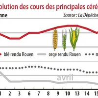 Evolution des cours des principales céréales