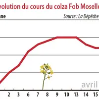 Evolution des cours du colza