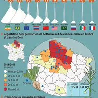La production sucrière française en chiffres clés