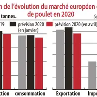 Prévision de l'évolution du marché européen de viande de poulet en 2020