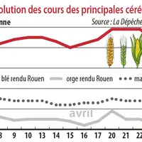 Evolution des cours des principales céréales