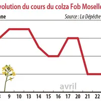 Evolution des cours du colza