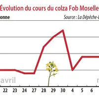 Evolution des cours du colza