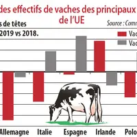 Variations des effectifs de vaches des principaux produtions de l'UE