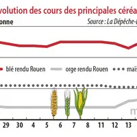 Evolution des cours des principales céréales