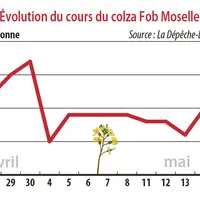 Evolution des cours du colza