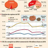 Infographie produits de la mer