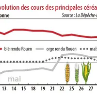 Evolution des cours des principales céréales