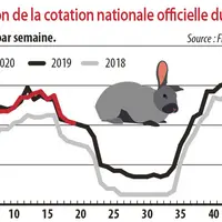 Evolution de la cotation nationale officielle du lapin vif