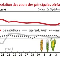 Evolution des cours des principales céréales