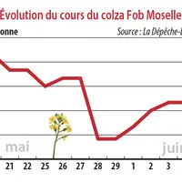 Evolution des cours du colza