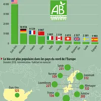 Infographie Bio dans le monde