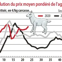 Evolution du prix moyen pondéré de l'agneau