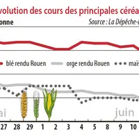 Evolution des cours des principales céréales