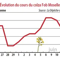 Evolution des cours du colza
