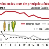 Evolution des cours des principales céréales