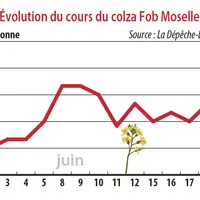 Evolution des cours du colza