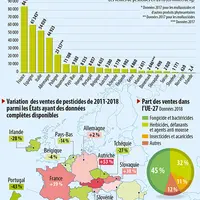 Infographie pesticides