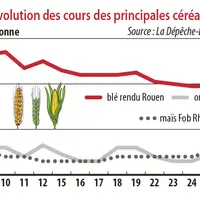 Evolution des cours des principales céréales