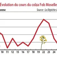 Evolution du cours du colza Fob Moselle
