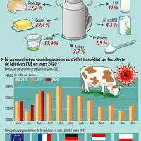 Infographie produits laitiers