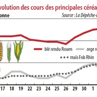 Evolution des cours des principales céréales