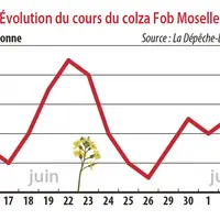 Evolution du cours du colza Fob Moselle