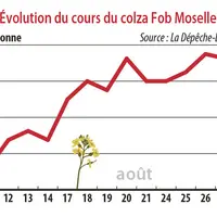 Evolution du cours du colza Fob Moselle