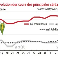 Evolution des cours des principales céréales