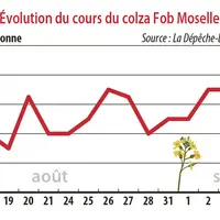 Evolution du cours du colza Fob Moselle